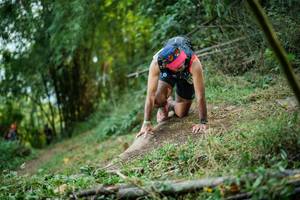 BIB: 
                            <button type="button" onclick="openModal(19430284)" class="btn btn-primary btn-sm float-right btn-popup" data-toggle="modal" data-target=".modal-high-quality">
                        <i class="fas fa-shopping-cart"></i> Add to Cart
                    </button>
                                            <button type="button" onclick="isThisMe(19430284, true)" class="btn btn-success btn-sm float-right btn-popup btn-isme hidden" data-toggle="tooltip" data-placement="bottom" title="นี่คือรูปของคุณใช่ไหม คลิกที่นี่เพื่อเอาเข้าอัลบั้ม">
                        <i class="fas fa-plus"></i> Add to album
                    </button>
                    <button type="button" onclick="isThisMe(19430284, false)" class="btn btn-warning btn-sm float-right btn-popup btn-isnotme hidden">
                        <i class="fas fa-ban"></i> Remove from album
                    </button>